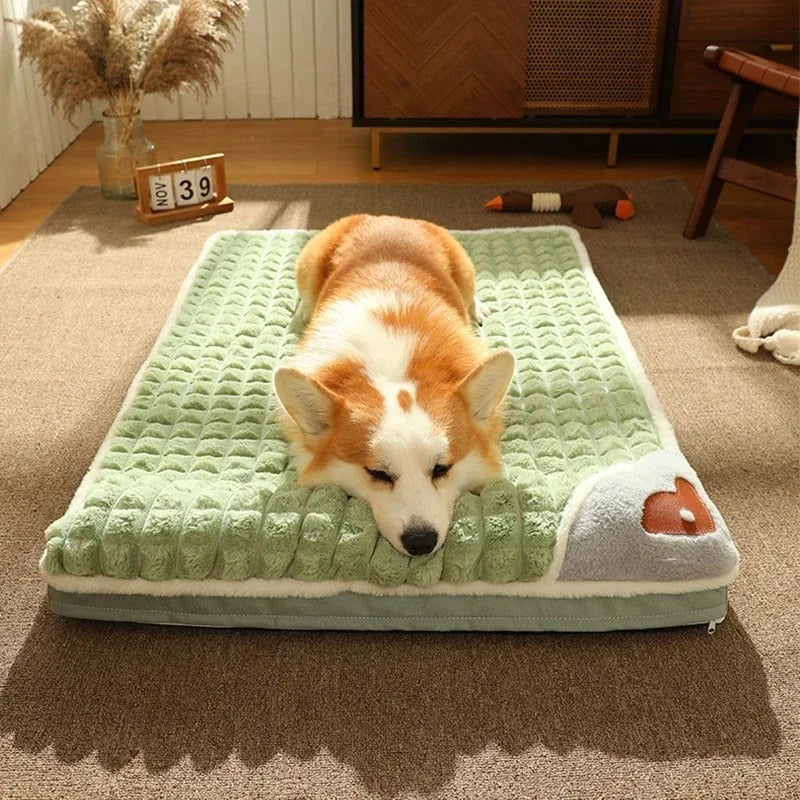 lit pour chien mousse avec rebords