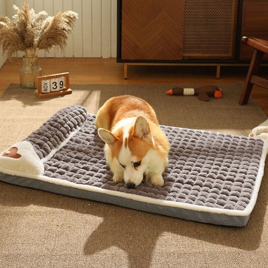 Lit pour chien mousse confortable gris