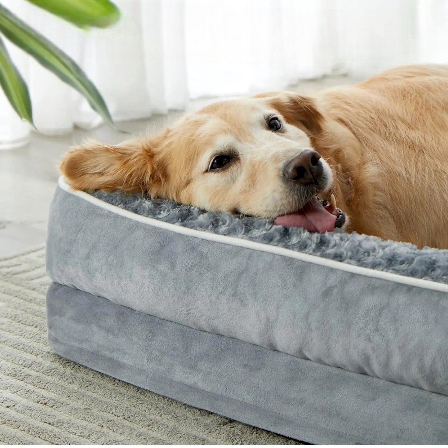 lit pour chien orthopédique confort chien