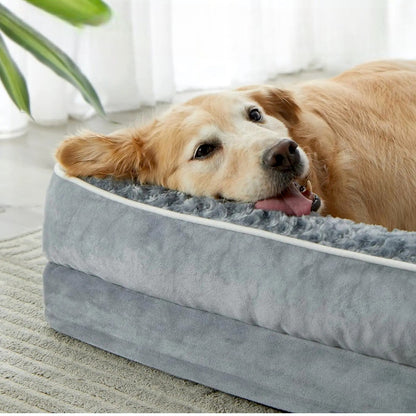 lit pour chien orthopédique confort chien