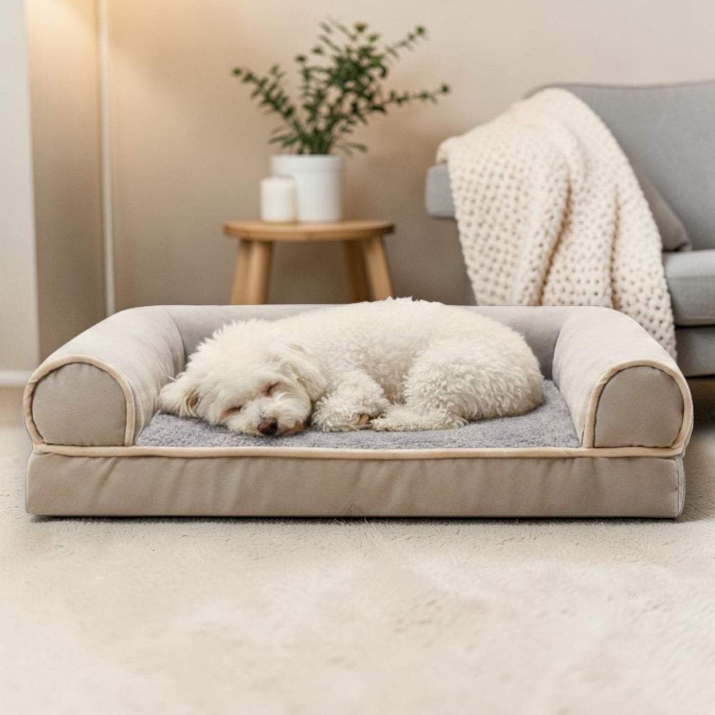 lit pour chien en forme rectangle beige avec chien