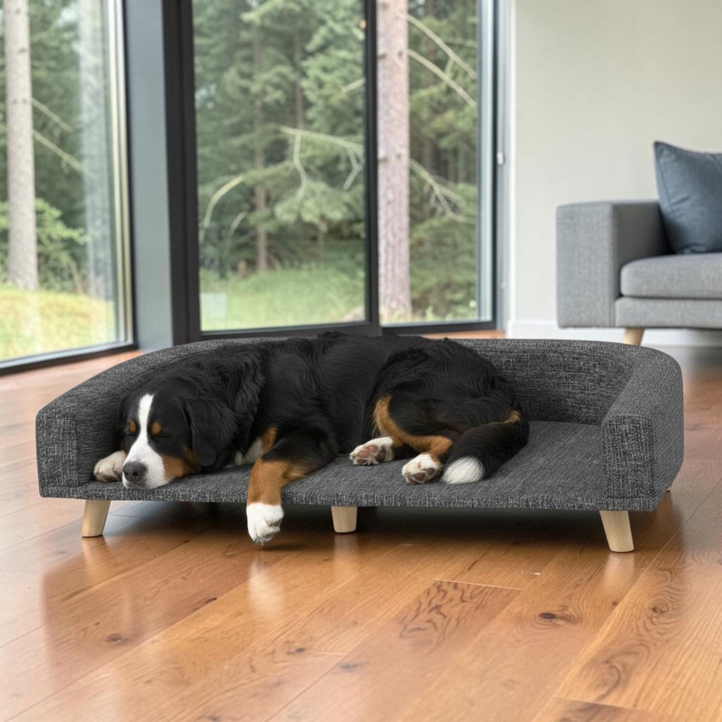 lit pour chien surélevé confort et sommeil