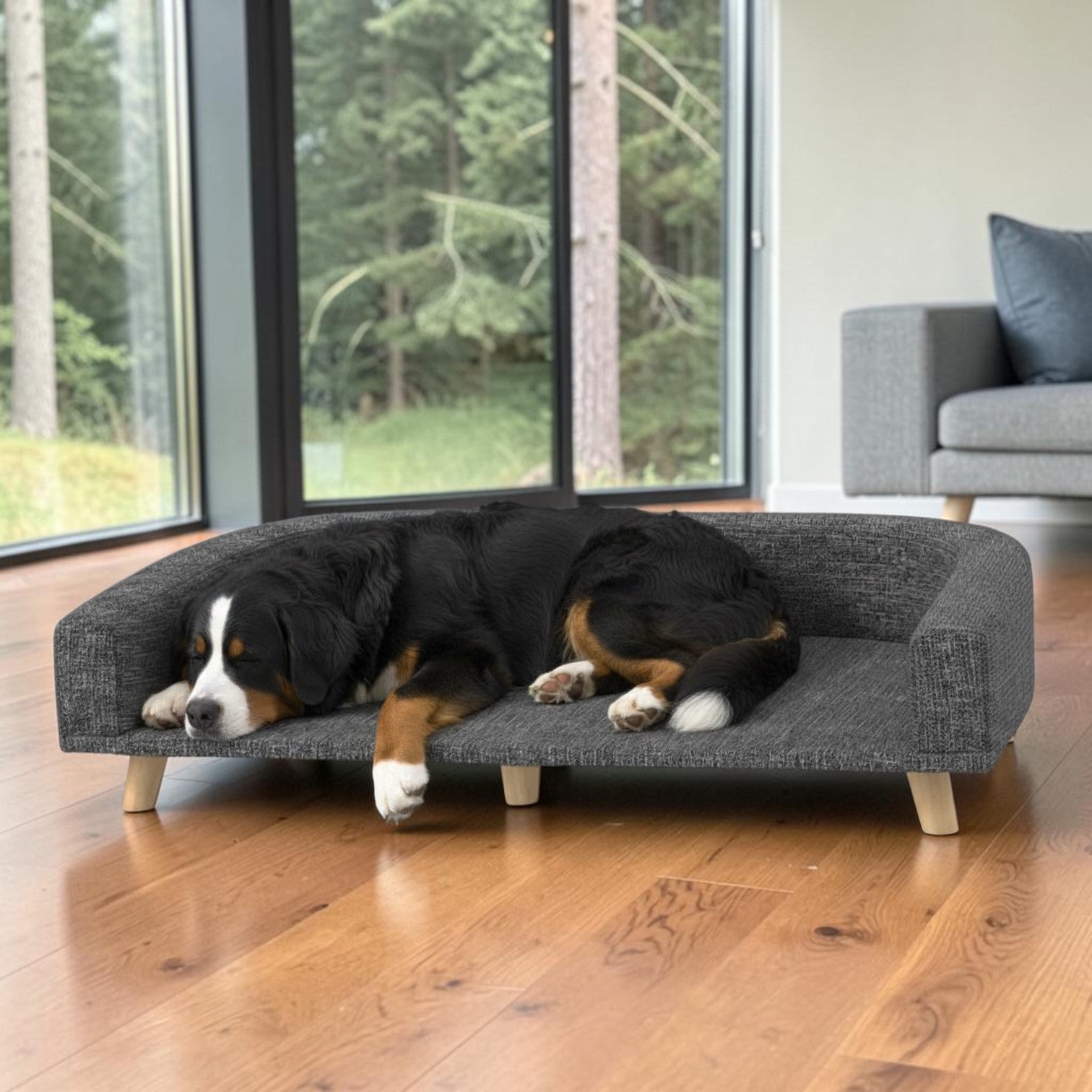lit pour chien surélevé confort et sommeil