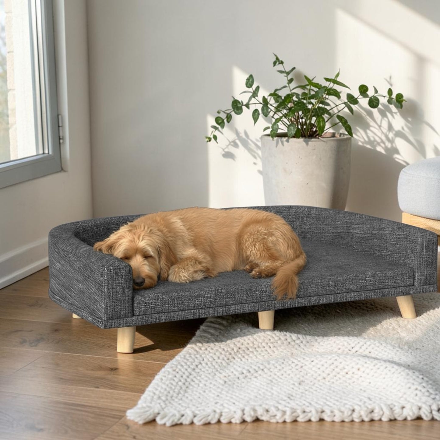 lit pour chien surélevé  gris avec un goldendoodle