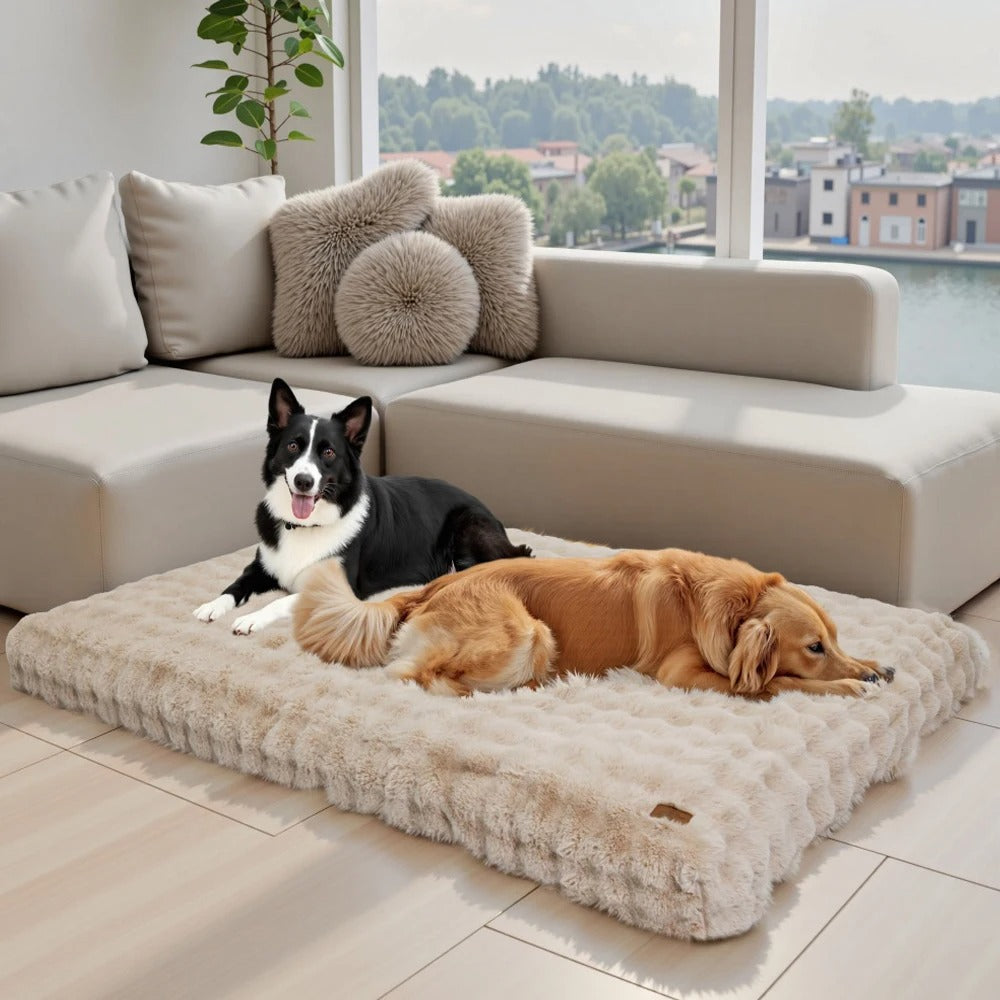 lit pour chien ultradoux beige