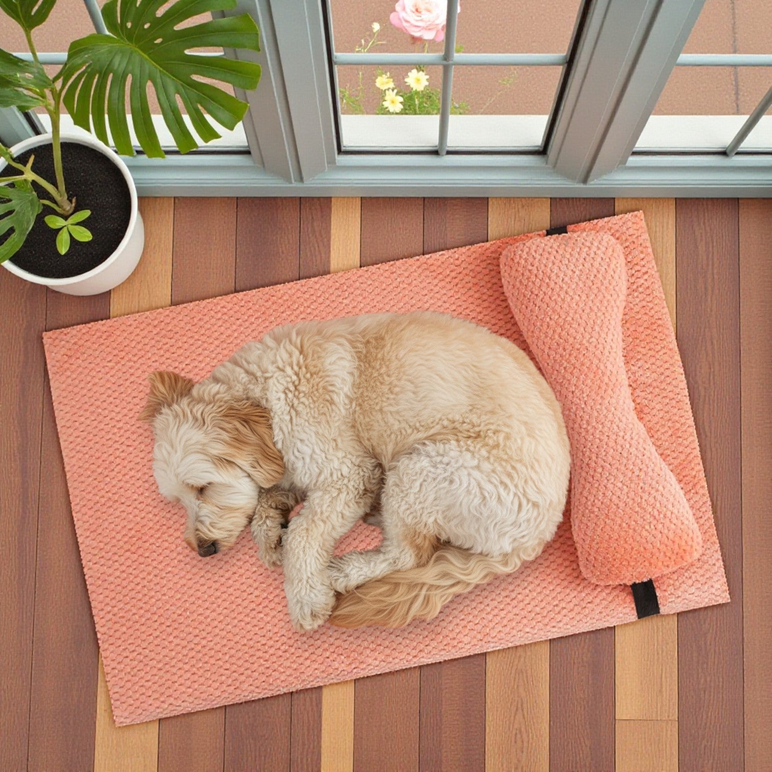 lit pour chien douillet avec un chien