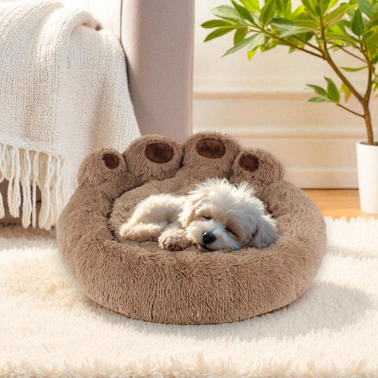 Panier Chien en forme patte chien brun