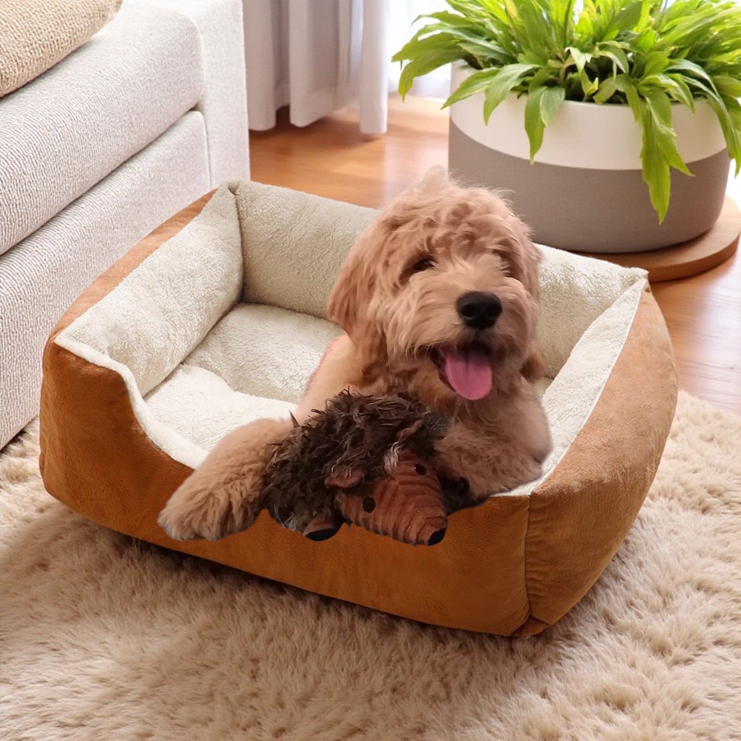 Panier Chien marron en velours et confort