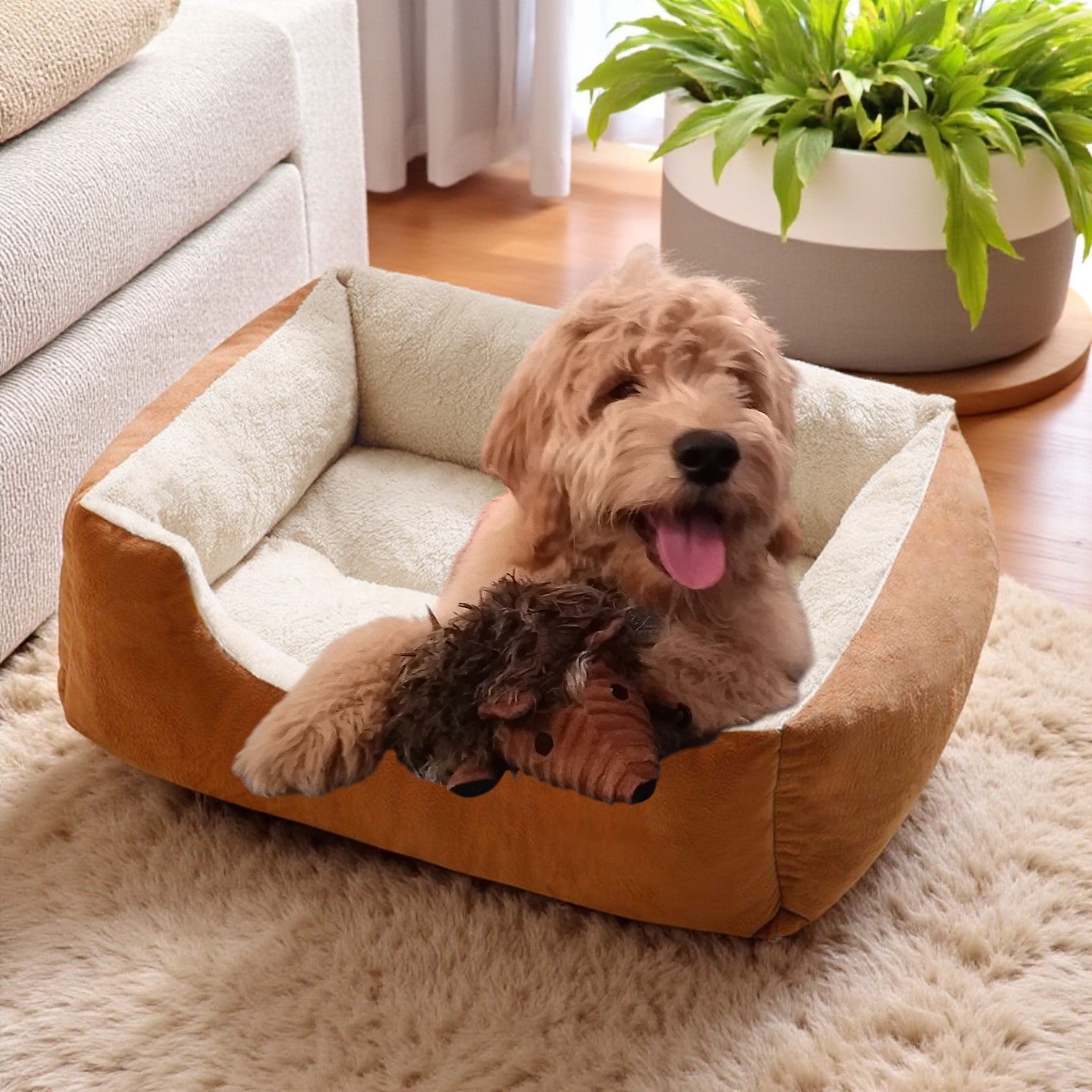 Panier Chien marron en velours et confort