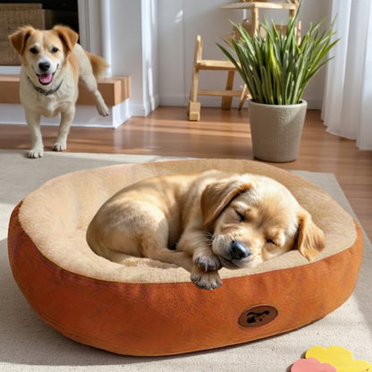 panier chien orange sommeil1