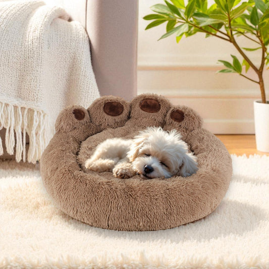panier chien patte brun