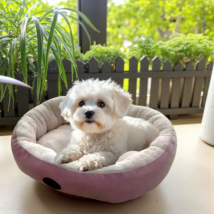 panier chien rose bichon jardin