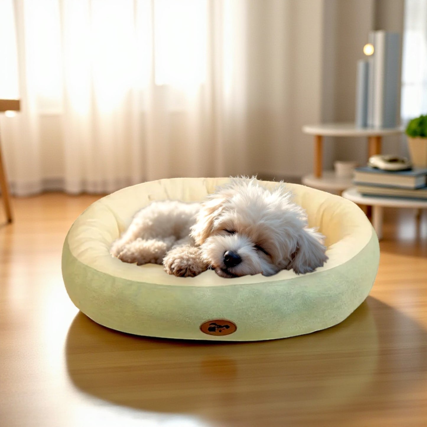 panier chien vert dort1