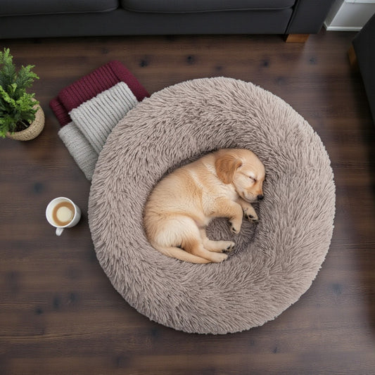 panier pour chien en donut taupe avec un chien