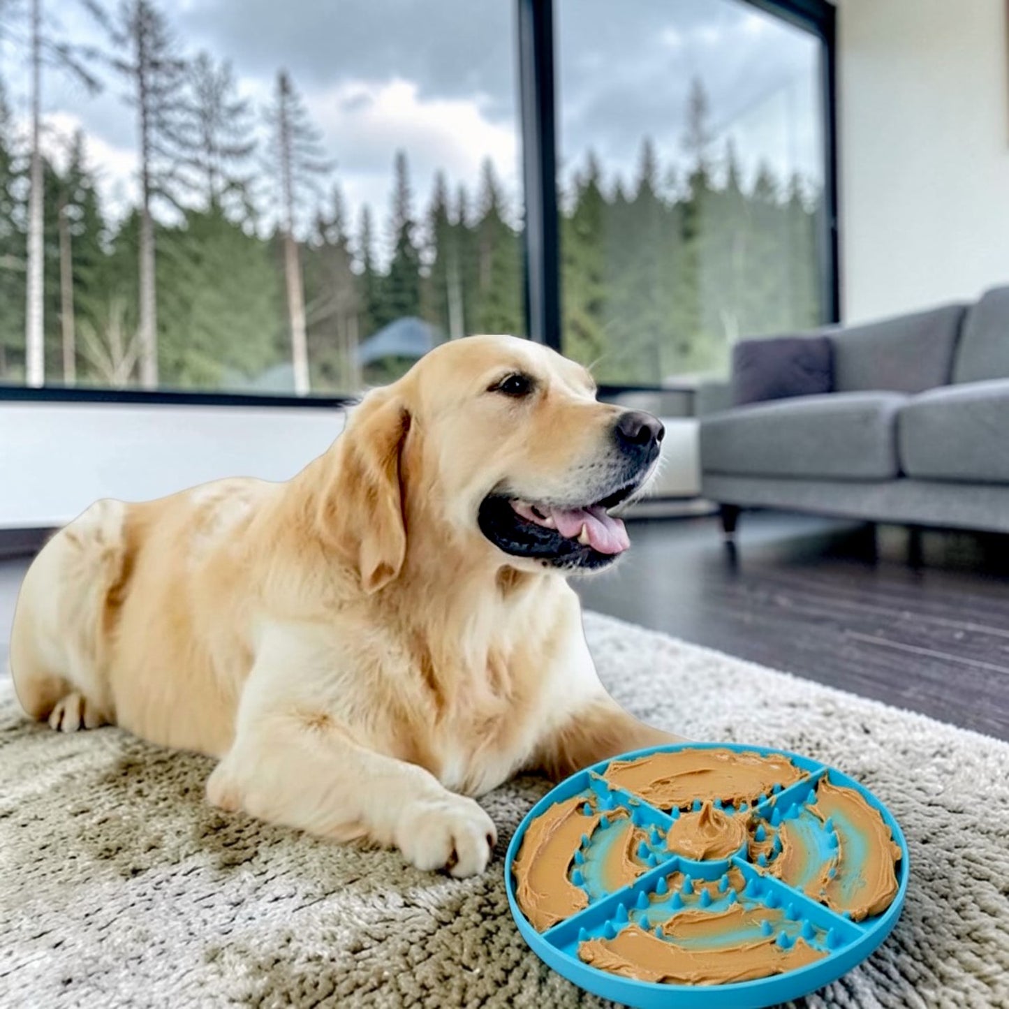 tapis de lechage chien avec golden sur tapis