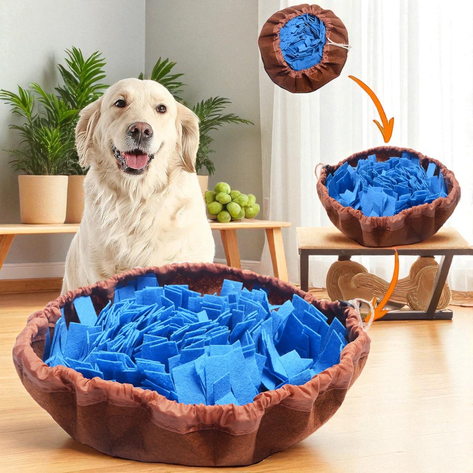 Tapis de Fouille Chienbleu avec chien