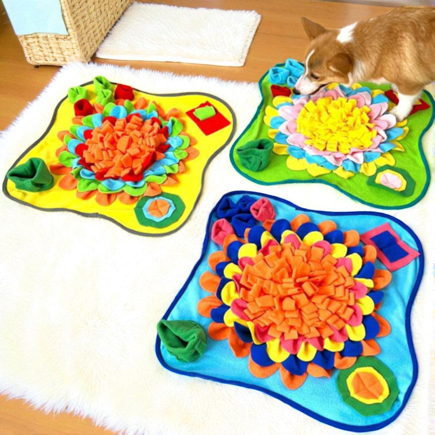Tapis de fouille chien EcoSniff 3 modeles