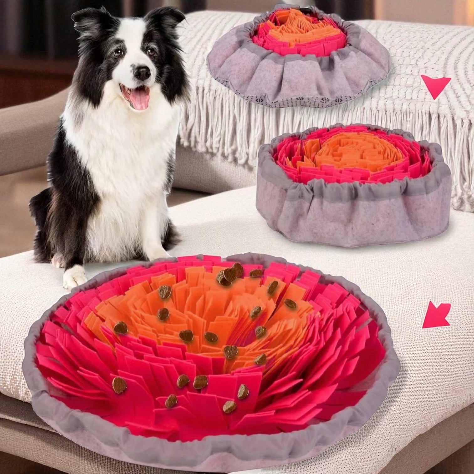 tapis de fouille chien rouge sur sofa