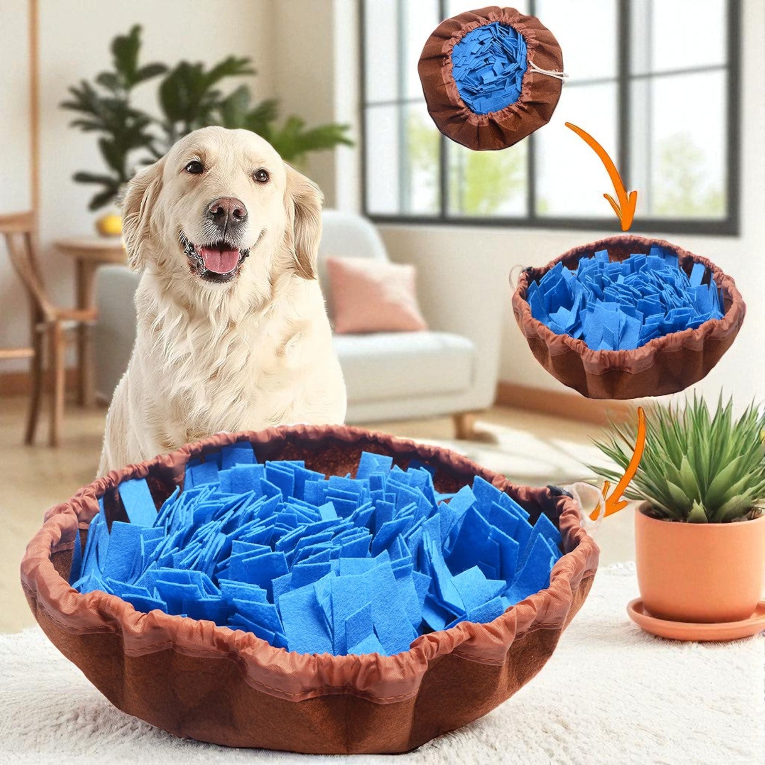 tapis de fouille truffle bleu maison