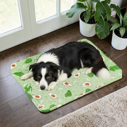 Tapis rafraichissant chien avec un border collie