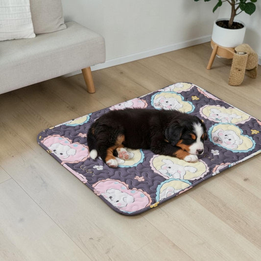 tapis rafraichissant chien avec un bouvier bernois