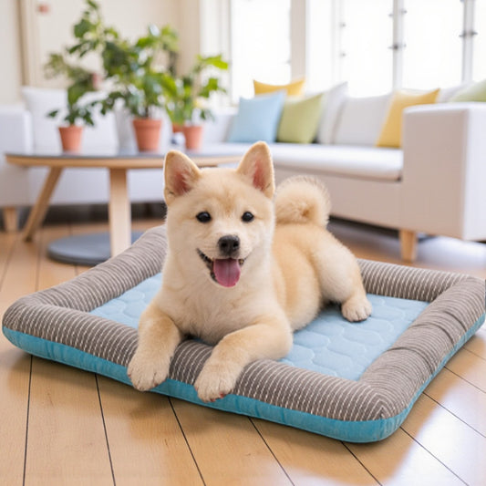 tapis rafraichissant chien bleu sourit