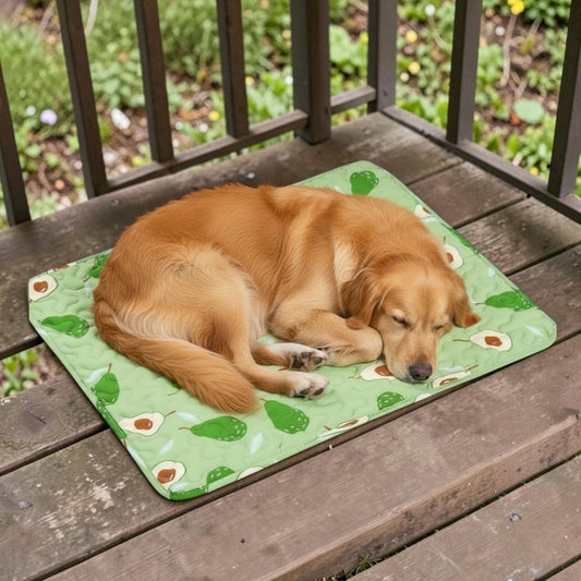 Tapis rafraichissant chien motif avocat sur un balcon