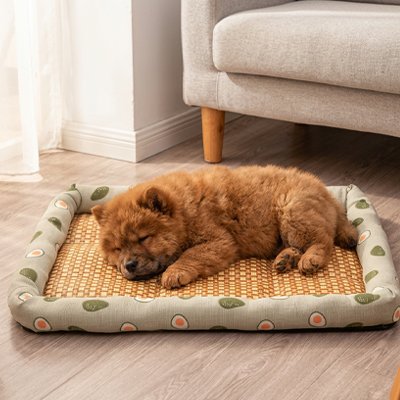 Tapis rafraichissant chien olive kaki avec chien