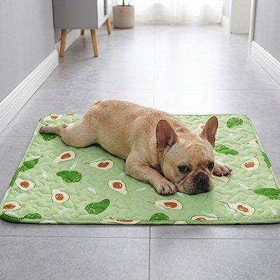 Tapis rafraichissant chien avec carlin