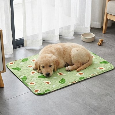 Tapis rafraichissant chien avec chiot
